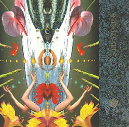 DaCapo Cover